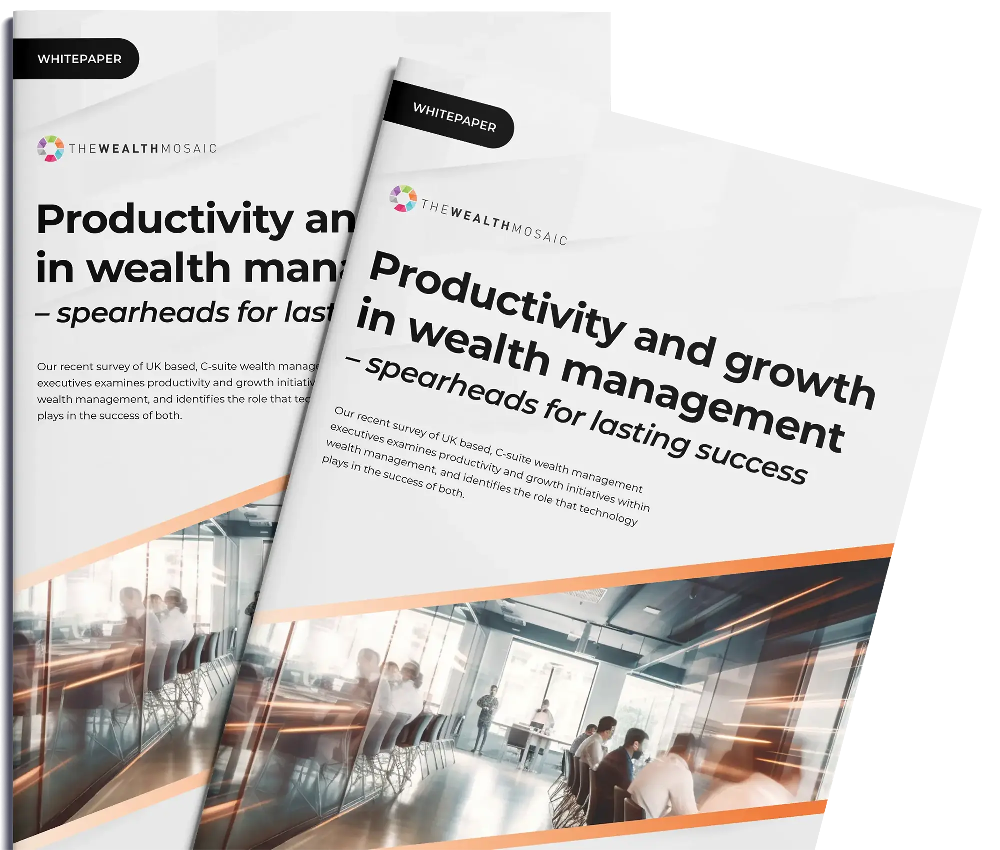 Productivity and growth in wealth management white paper